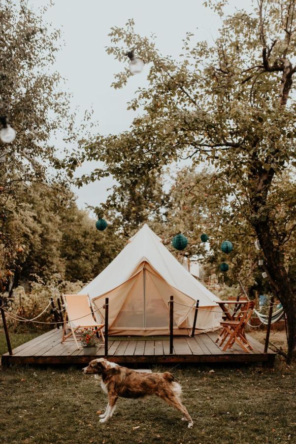 Dragonfly Gardens Urban Glamping Brasov Hotell Exteriör bild