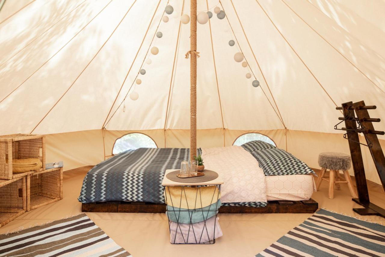 Dragonfly Gardens Urban Glamping Brasov Hotell Exteriör bild