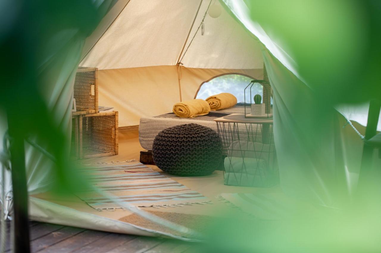 Dragonfly Gardens Urban Glamping Brasov Hotell Exteriör bild