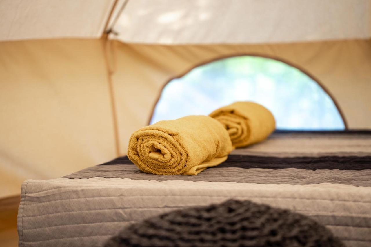 Dragonfly Gardens Urban Glamping Brasov Hotell Exteriör bild