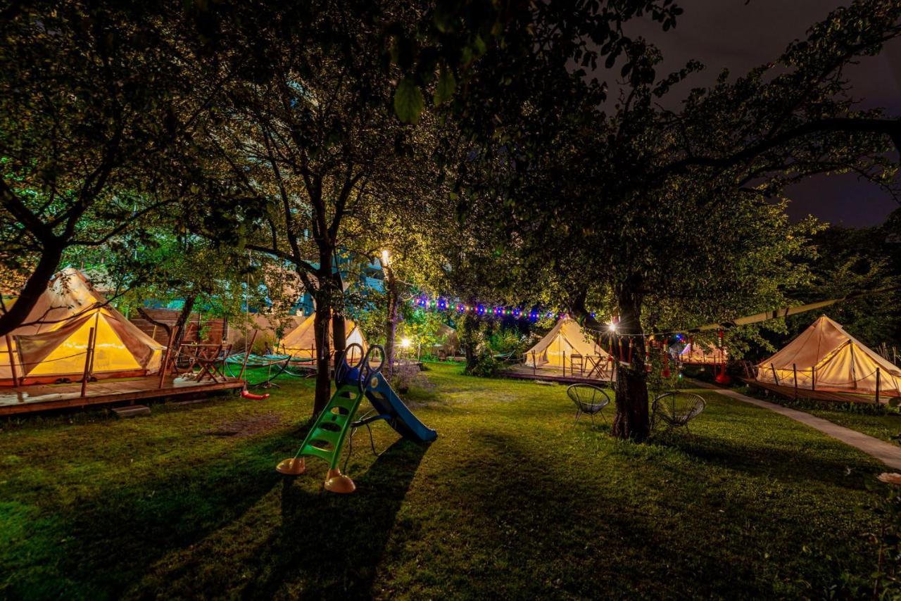Dragonfly Gardens Urban Glamping Brasov Hotell Exteriör bild