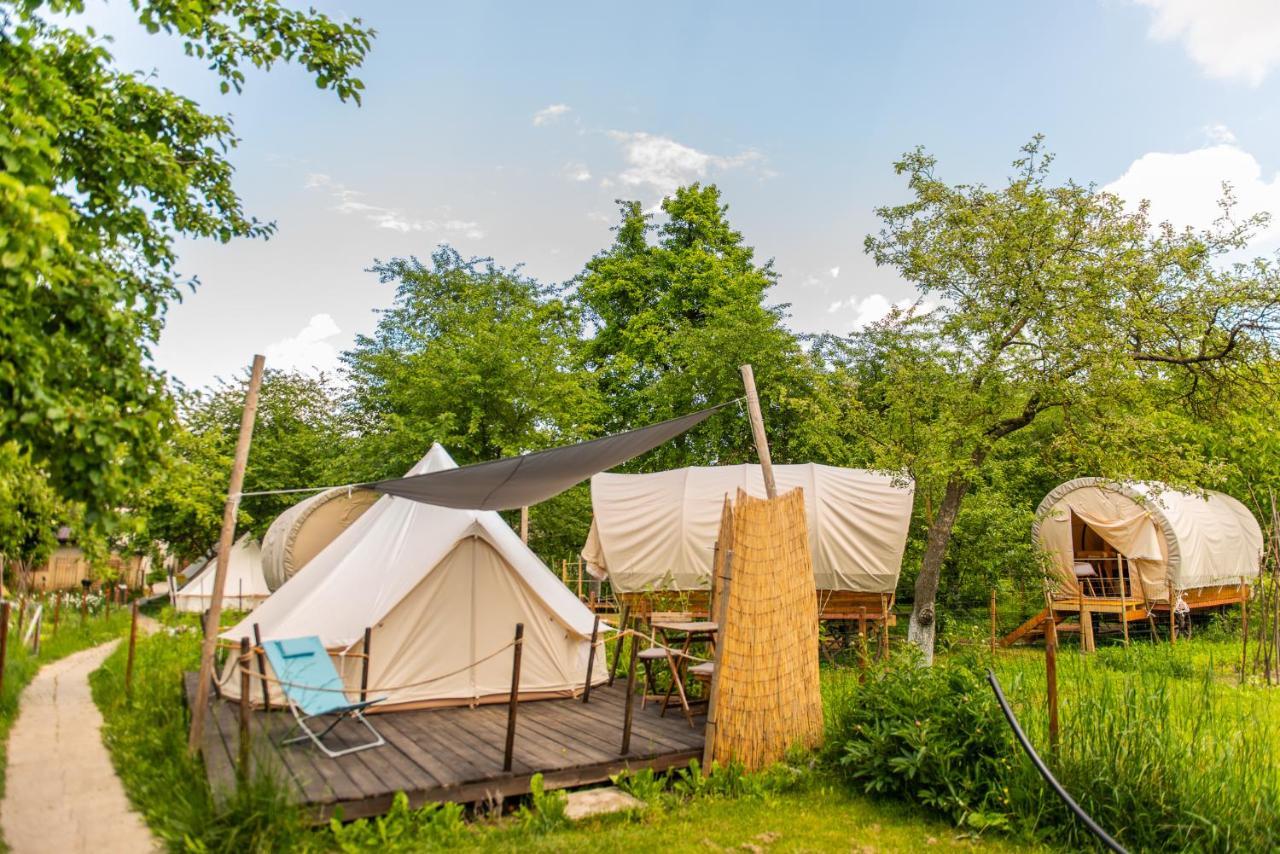 Dragonfly Gardens Urban Glamping Brasov Hotell Exteriör bild