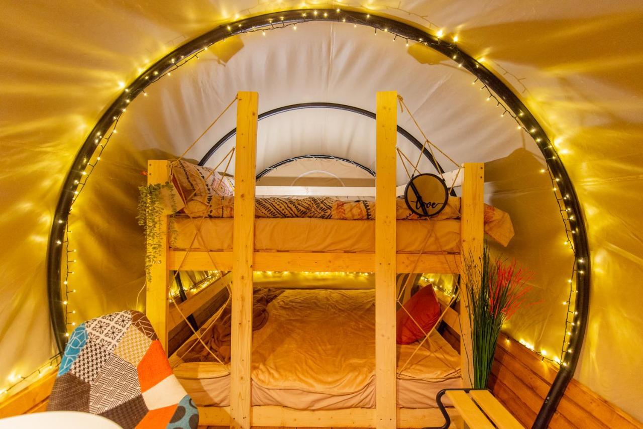 Dragonfly Gardens Urban Glamping Brasov Hotell Exteriör bild