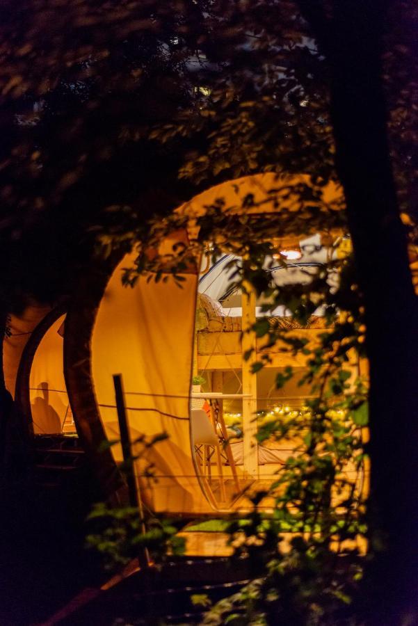 Dragonfly Gardens Urban Glamping Brasov Hotell Exteriör bild