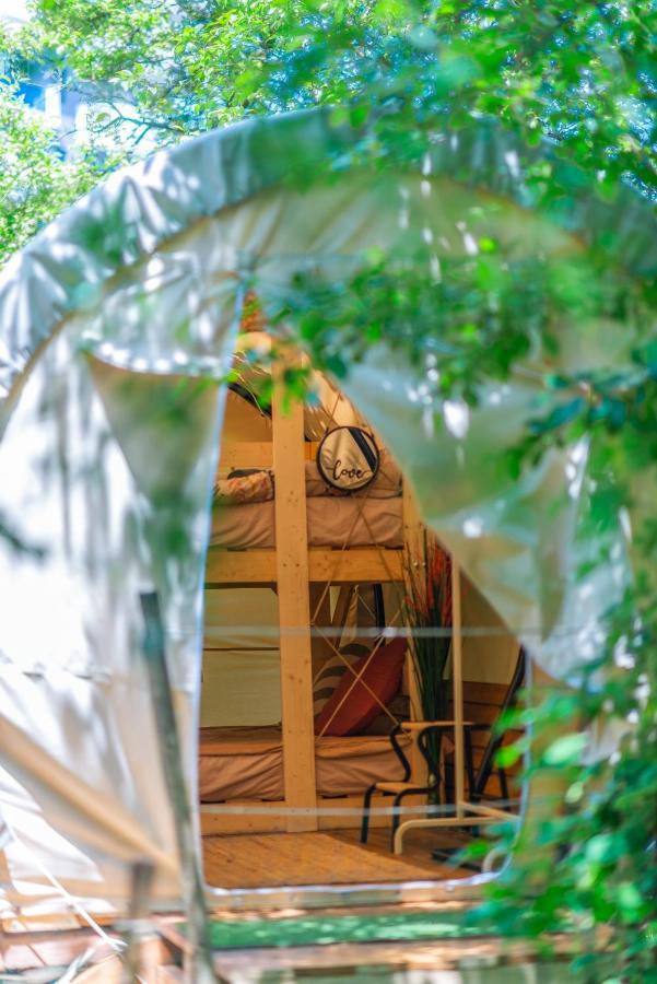 Dragonfly Gardens Urban Glamping Brasov Hotell Exteriör bild