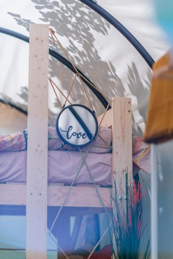 Dragonfly Gardens Urban Glamping Brasov Hotell Exteriör bild