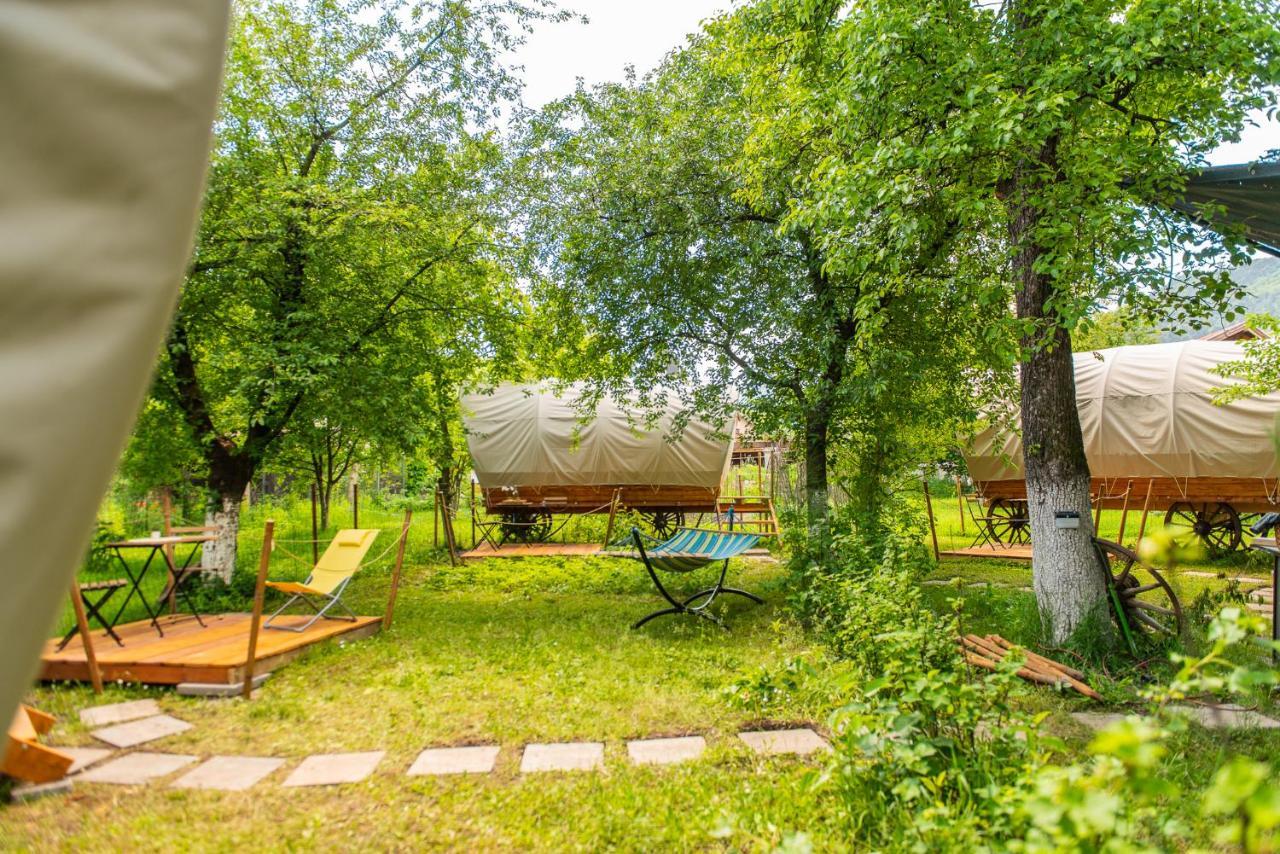 Dragonfly Gardens Urban Glamping Brasov Hotell Exteriör bild